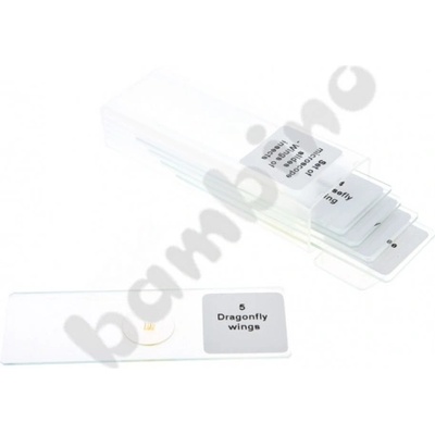 Комплект микроскопски препарати - крила на насекоми