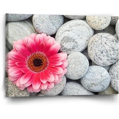 Sablio Obraz Gerbera na kameňoch - 90x60 cm