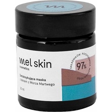 Mel Skin Detoxifying bahenní maska s minerály z Mrtvého moře 30 ml