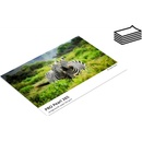Fotopapíry FOMEI A4, 50 listů, 265 g/m2