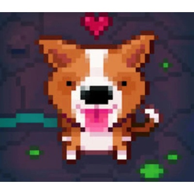 Fidel - Dungeon Rescue