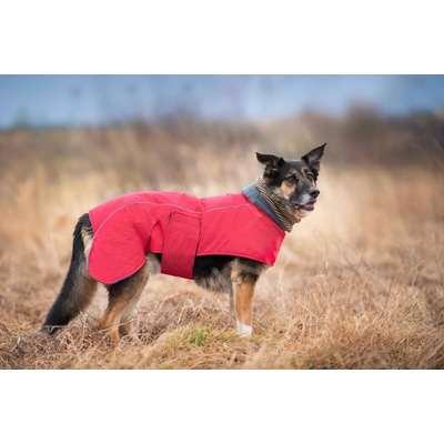 Vsepropejska Servác zateplená bunda pro psa