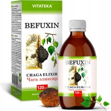 Yango Extrakt z čagy bez alkoholu, bez gluténu, vegánsky 120 ml