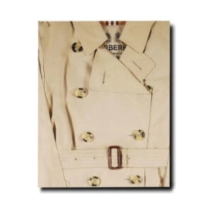 Burberry | Fury (ISBN: 9781649801609)