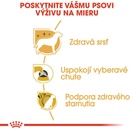 Krmivo pre psov Royal Canin Yorkshire Terrier 7,5 kg