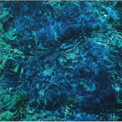 Ichiko Aoba: Luminescent Creatures LP