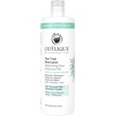 Odylique Šampon proti lupům s kopřivou a Tea Tree olejem 500 ml