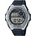 Casio MWD-100H-2AVEF