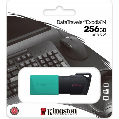 Kingston DataTraveler Exodia M 256GB DTXM/256GB