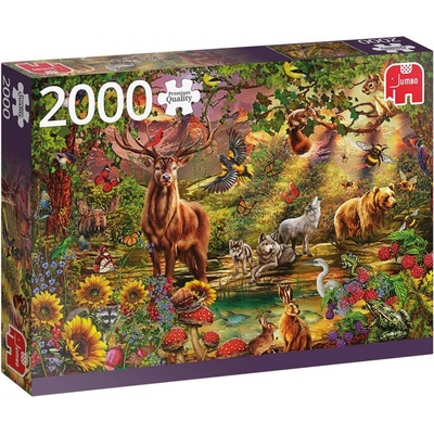 Jumbo Kouzelný les v zapadajícím slunci 2000 dílků