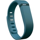 Fitbit Flex