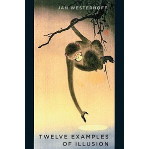 Twelve Examples of Illusion (ISBN: 9780195387353)