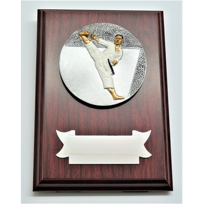 VIZINGR Karate plaketa H122-G15-FG005 15 cm