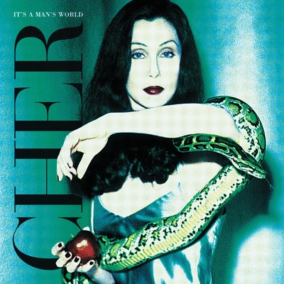Cher It's A Man's World 2 LP