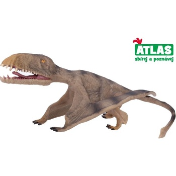 Atlas B Pterosaurus 17,2 cm
