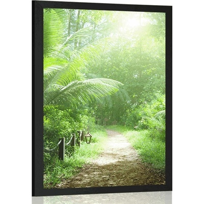Plakát cestička na ostrově Seychely - 40x60 silver
