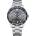 Curren Мъжки часовник Curren Arren, Неръждаема стомана, Сребрист / Сив (CURREN-8426-SILVER-GRAY)
