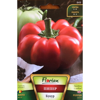 Флориан Пипер Букур (Камби гигант)