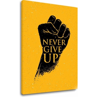 Papilora Motivační obraz na stěnu Nikdy se nevzdávej - 60x90 cm