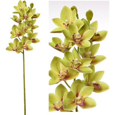 KUSOVKA ORCHIDEA CYMBIDIUM ZELENÉ 74CM