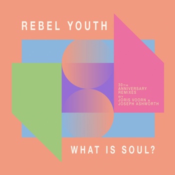 Rebel Youth - What is soul? (30th anniversary remixes) (dd6509ec-e8ef-4bd4-884f-d18d0d03ce2f)