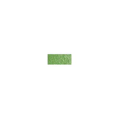 Sennelier suchý pastel 914 forest green no5