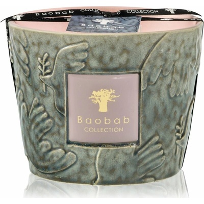 Baobab Collection Paz Colombe 500 g