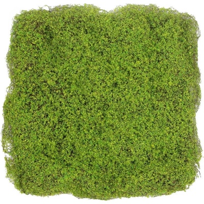 Fine moss light green , dílec 50 x 50 cm