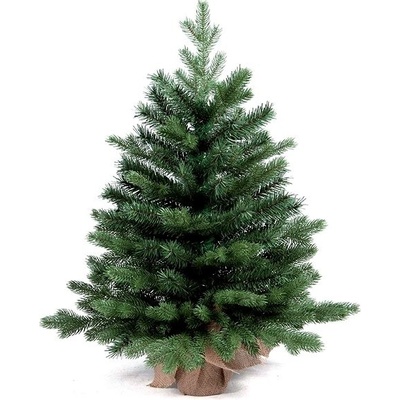 LAALU Vánoční stromek jedle Bernard v květináči 60 cm