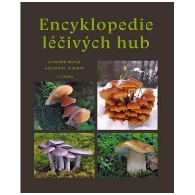Encyklopedie léčivých hub - Socha Radomír