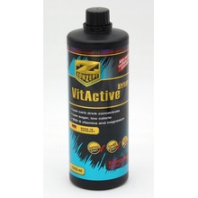 Vit Active Syrup Energy energetický nápojový koncentrát 1 l