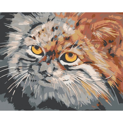 zuty Malování podle čísel Šedohnědá kočka 100 x 80 cm vypnuté plátno na rám