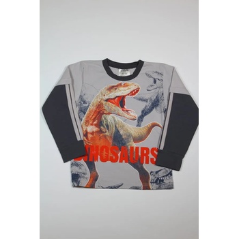 Image 1 of Стела Русе Блуза с дълъг ръкав Динозавър, 98-104