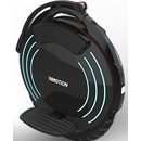 InMotion V10F