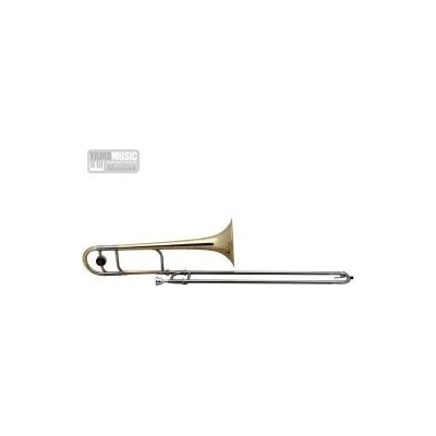 Roy Benson TT 236 Bb Tenor Pro Serie lak