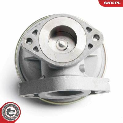 AGR-Ventil ESEN SKV 14SKV098