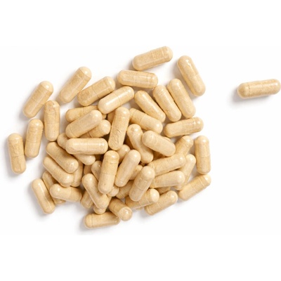 Krmiva Hulín Fosfatidilserin 50% kapsle 500 mg 150 tbl