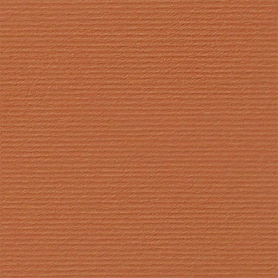 Fabriano Картон Elle Erre, 70 x 100 cm, 220 g/m2, № 119, све (1535180518)