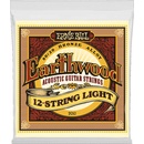 Ernie Ball 2010