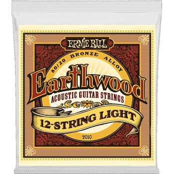 Ernie Ball 2010