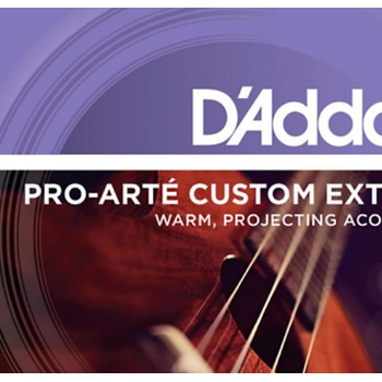 D'Addario EJ65C