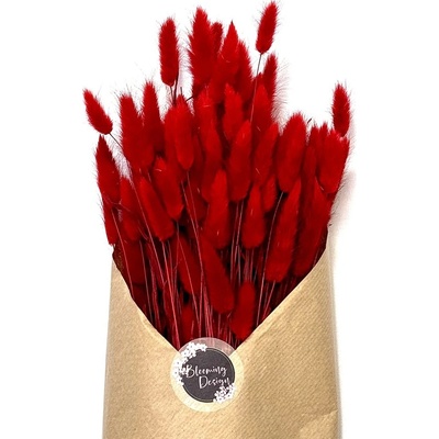 Sušený lagurus (králičí ocásek) červený 45g