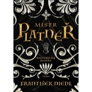 Mistr platnéř