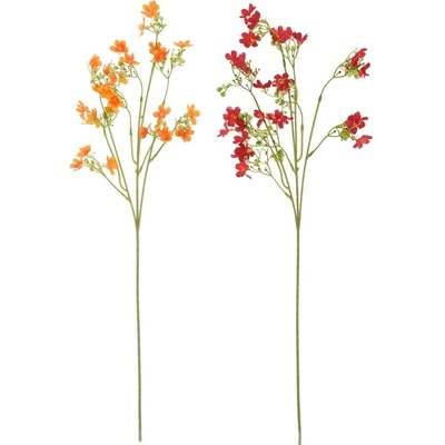 KONÁR OXYPETALUM ČER/ORANŽ MIX/2F 64CM