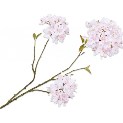 větev květu bílá/růžová V70 cm