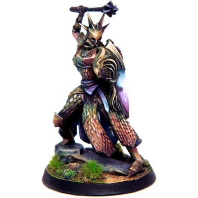 Разширение за настолна игра Eldfall Chronicles: Northern Wind - Citadel Guard (ELDSMCG01)