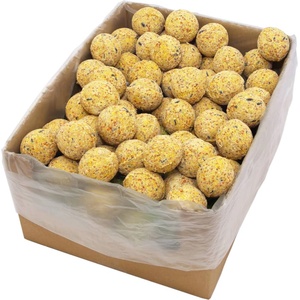vidaXL Мастни топки за диви птици, 200 бр, 90 гр (170899)