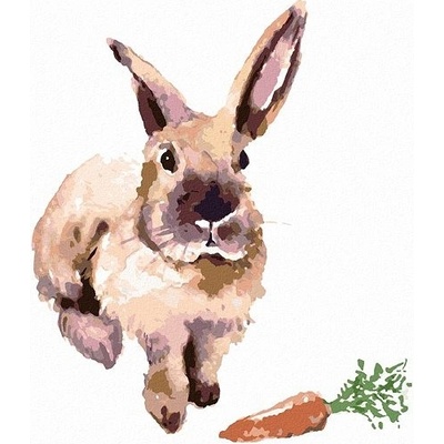 ZUTY Malování podle čísel KRÁLÍK S MRKVIČKOU Rozměr 80 x 100 cm Rámování vypnuté plátno na rám