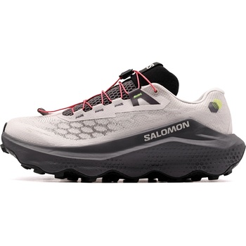 Salomon Ultra Glide 4