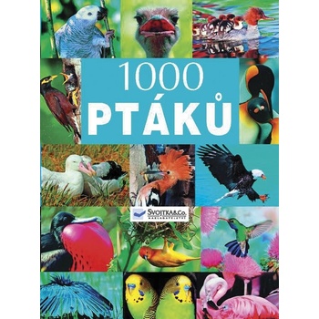 1000 ptáků -
